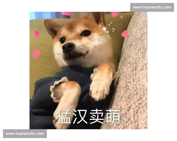 失忆女子惊现死亡证明，揭开豪门血案真相